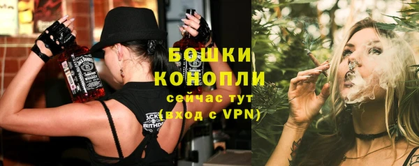 молекула духа Куровское